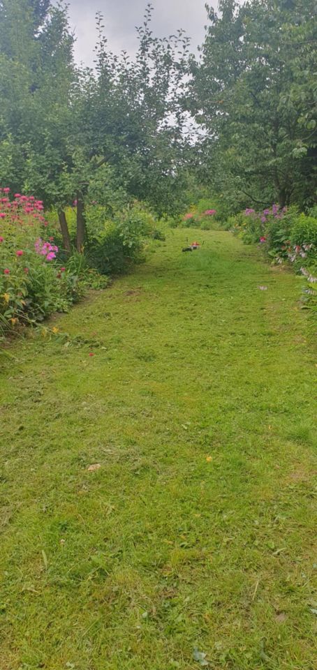 Działka budowlana Życiny. Zdjęcie 12