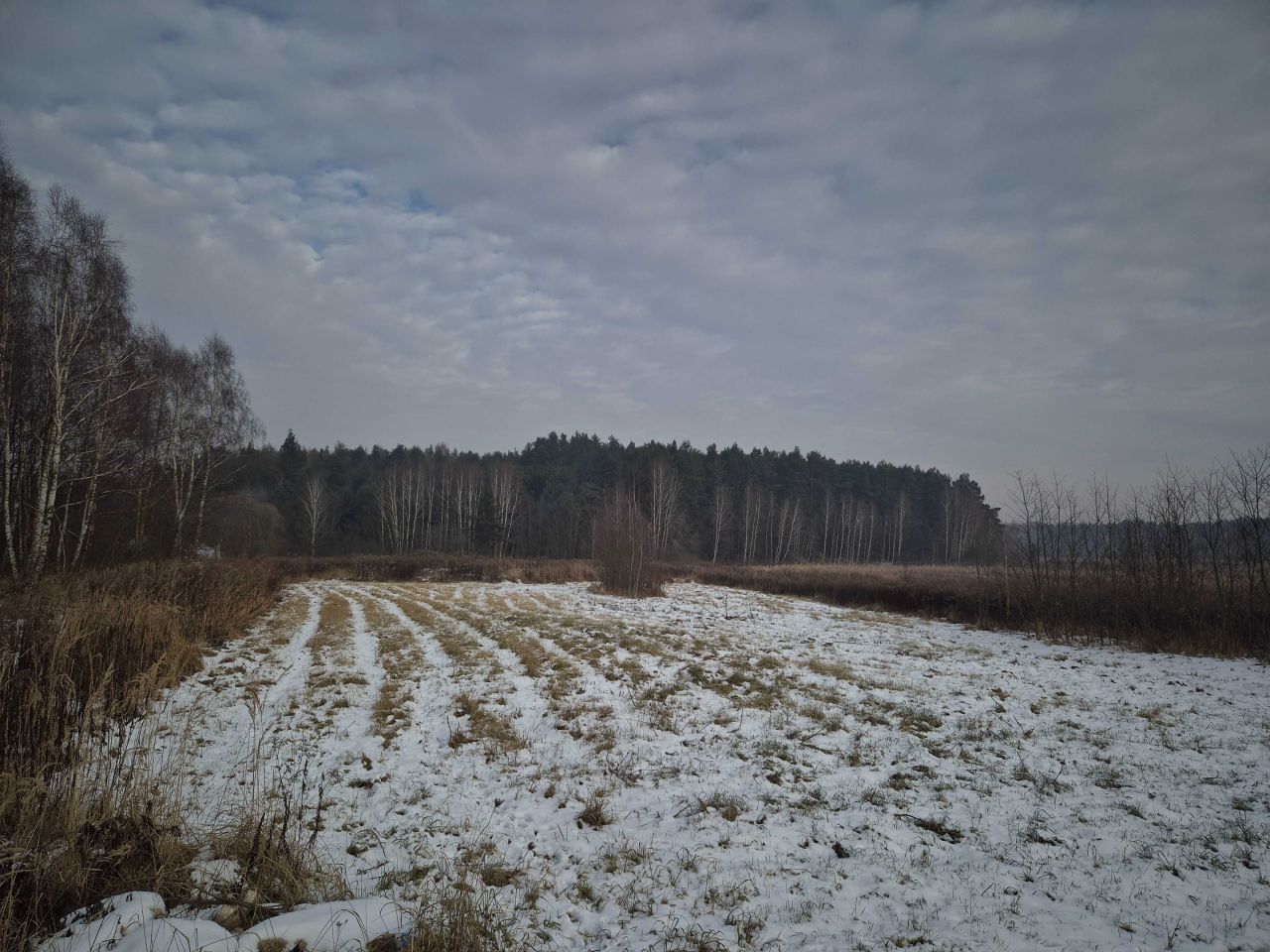 Działka budowlana Szczukowice. Zdjęcie 2