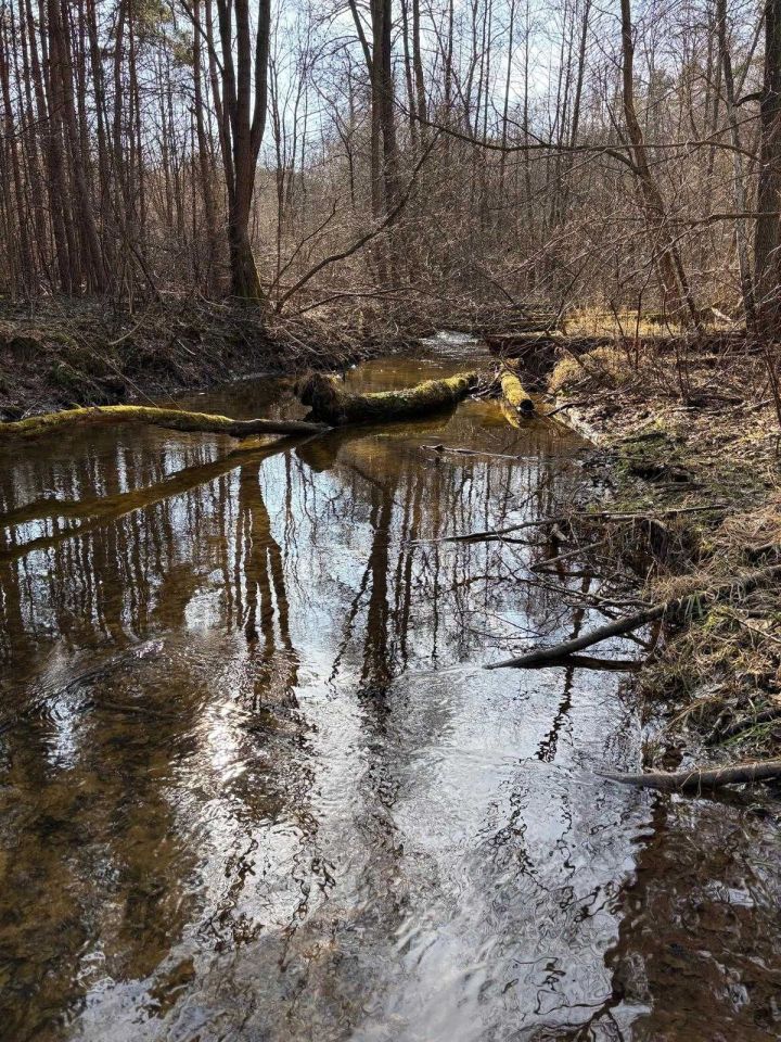 Działka rolna Parszów. Zdjęcie 8