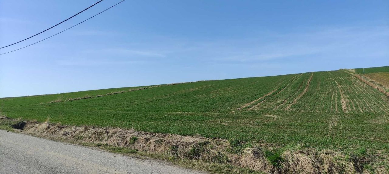 Działka rolna Stoki. Zdjęcie 1