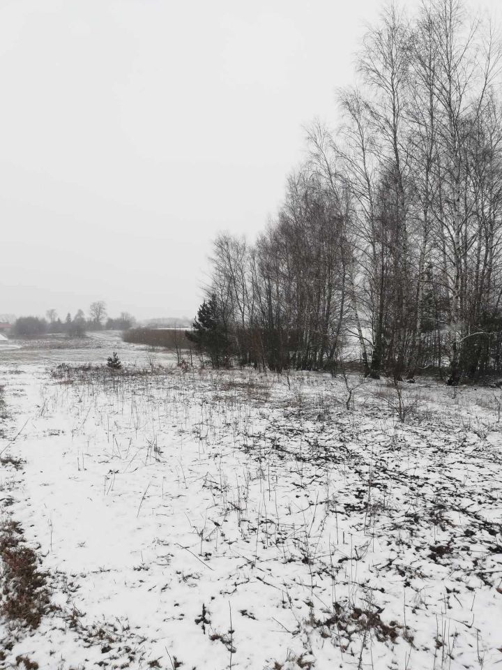 Działka budowlana Okrzeja. Zdjęcie 4