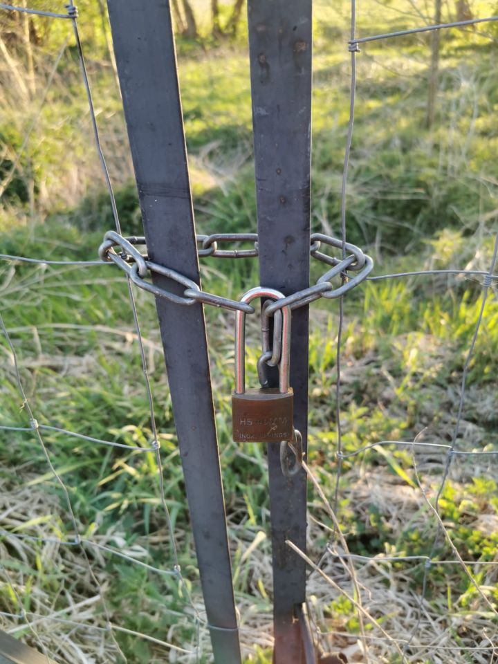 Działka rolno-budowlana Izbica Lisia Góra. Zdjęcie 4