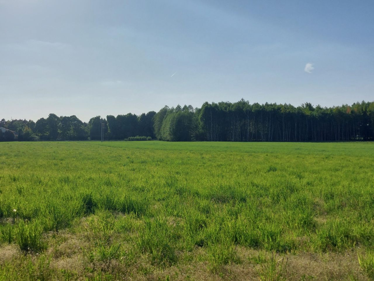 Działka rolno-budowlana Zamęty. Zdjęcie 19