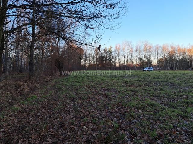 Działka budowlana Dąbrówka. Zdjęcie 8