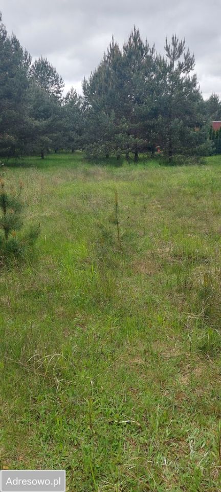 Działka budowlana Kwidzyn, ul. Młynarska