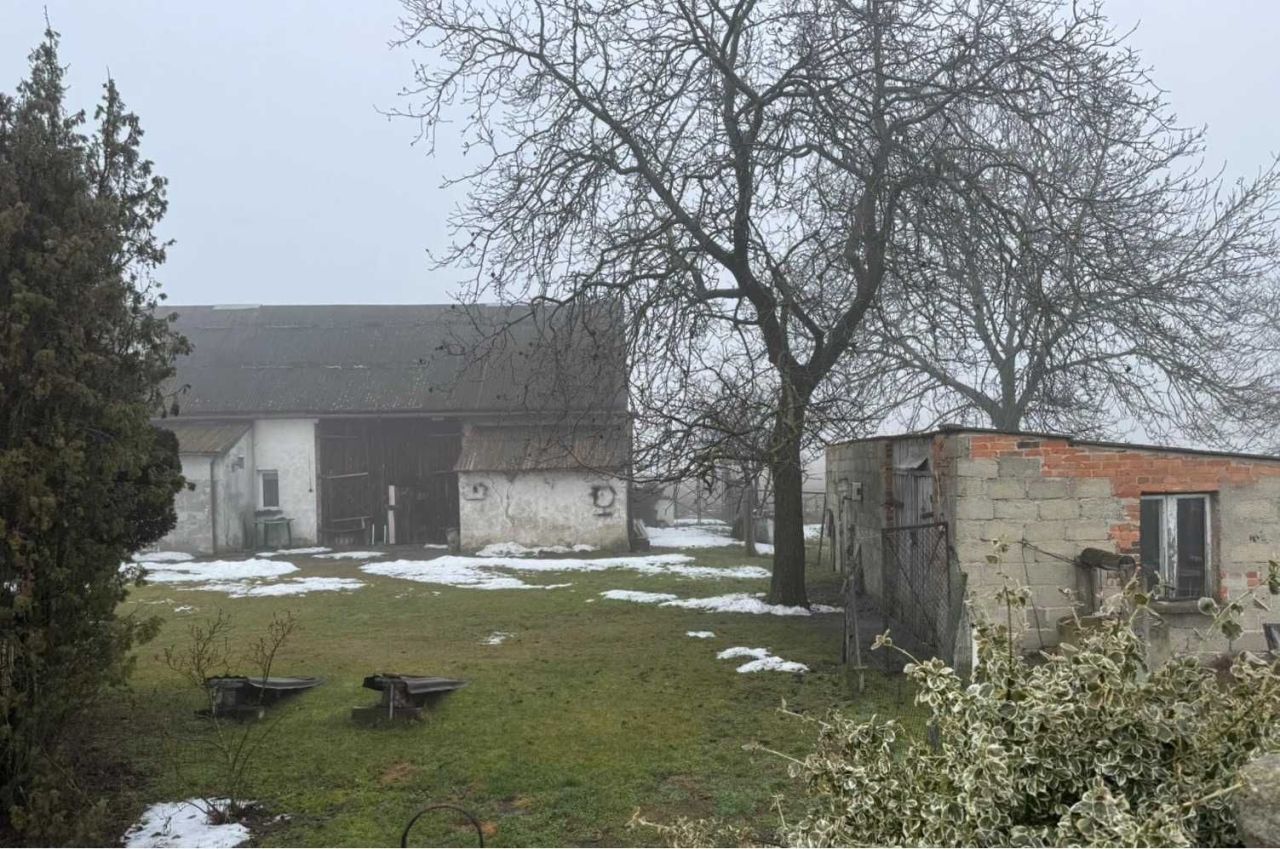 Działka rolno-budowlana Rogaszyce. Zdjęcie 8