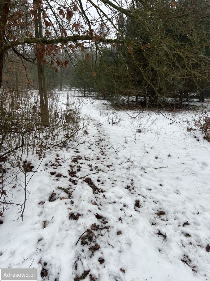 Działka rolno-budowlana Andrzejów. Zdjęcie 9