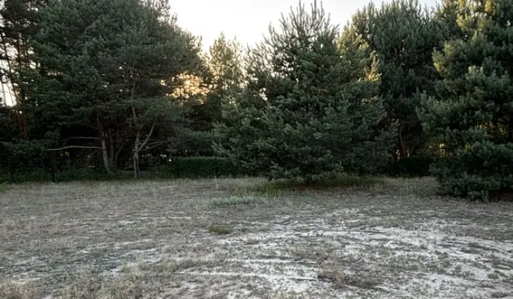 Działka rekreacyjna Wola Brwileńska