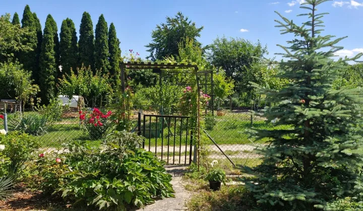 Działka rod Jawor, ul. Piastowska