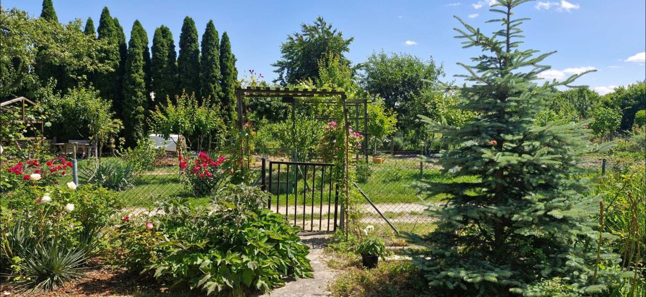 Działka rod Jawor, ul. Piastowska