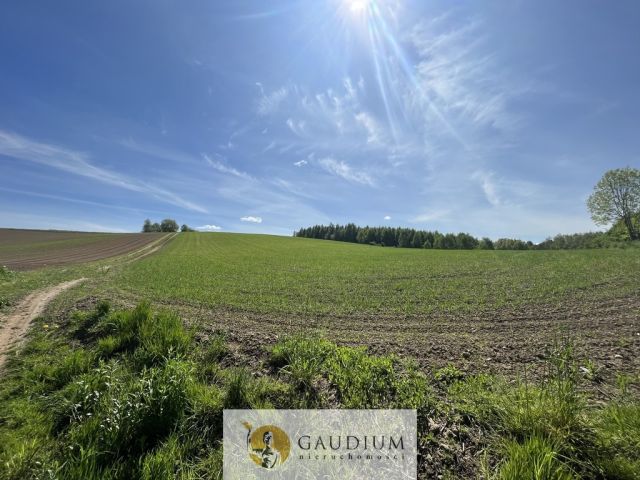 Działka Zła Wieś. Zdjęcie 1