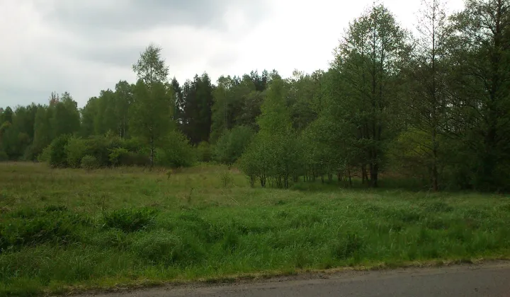 Działka leśna Ciągowice Zacisze, ul. 1 Maja