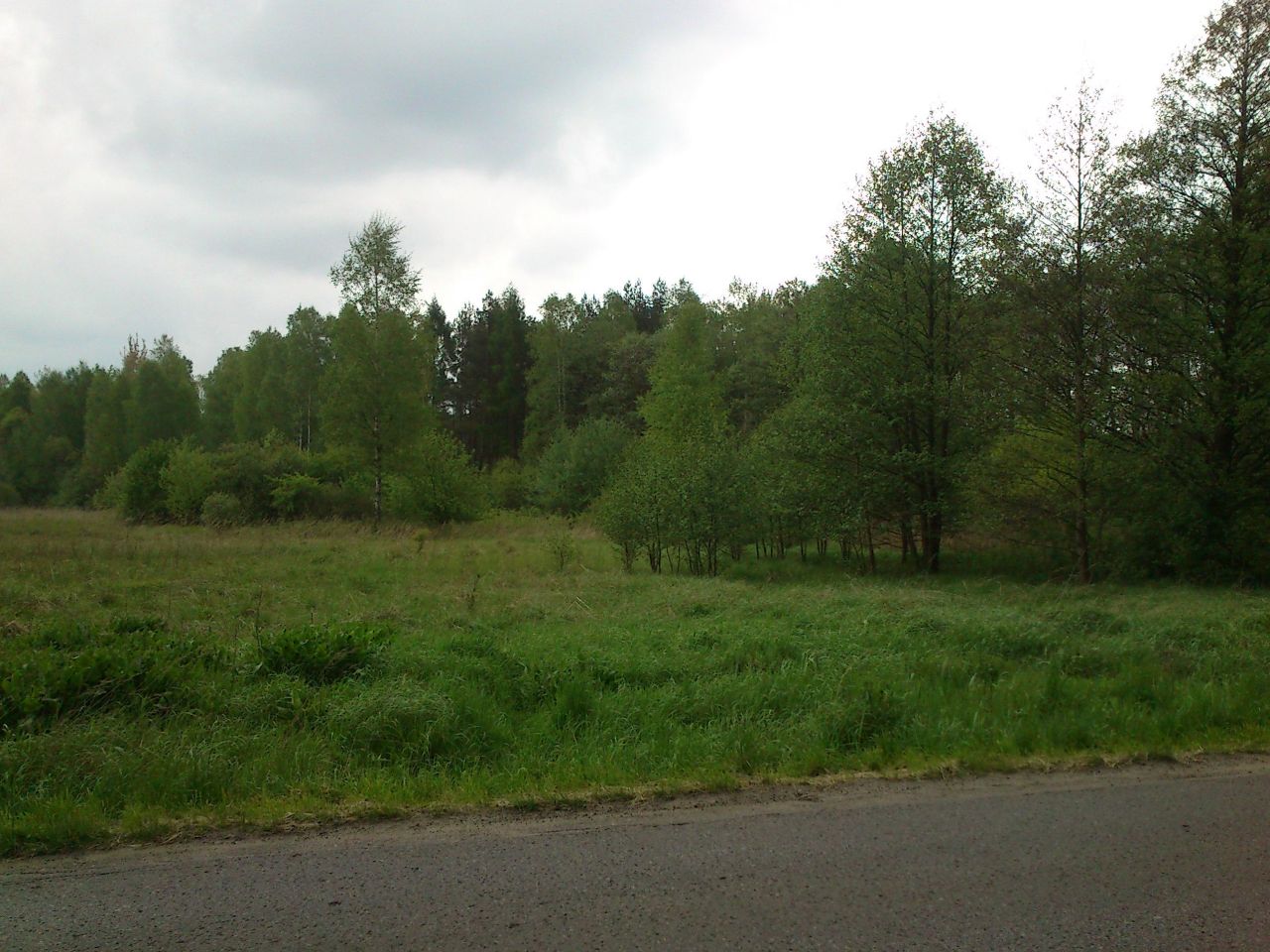 Działka leśna Ciągowice Zacisze, ul. 1 Maja