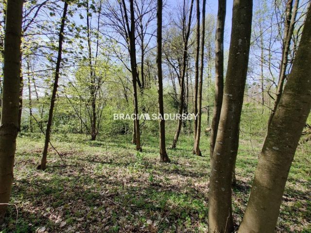 Działka rekreacyjna Łukta. Zdjęcie 11