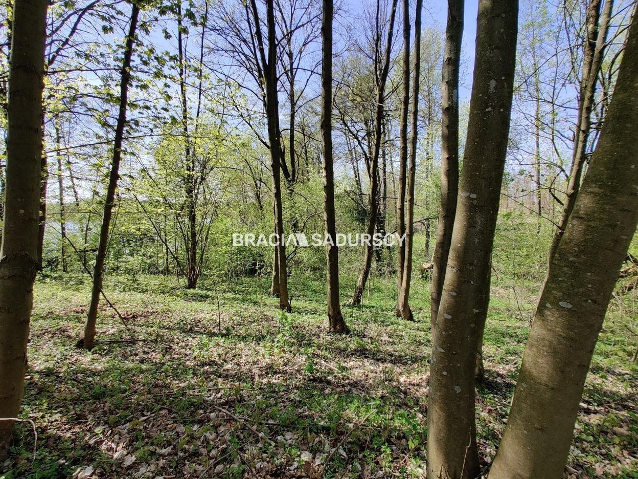 Działka rekreacyjna Łukta. Zdjęcie 11