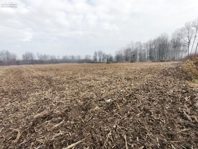 Działka budowlana Pyskowice Dzierżno, ul. Wiejska. Zdjęcie 8