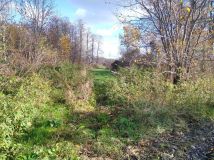 Działka siedliskowa Gąsówka-Oleksin. Zdjęcie 4