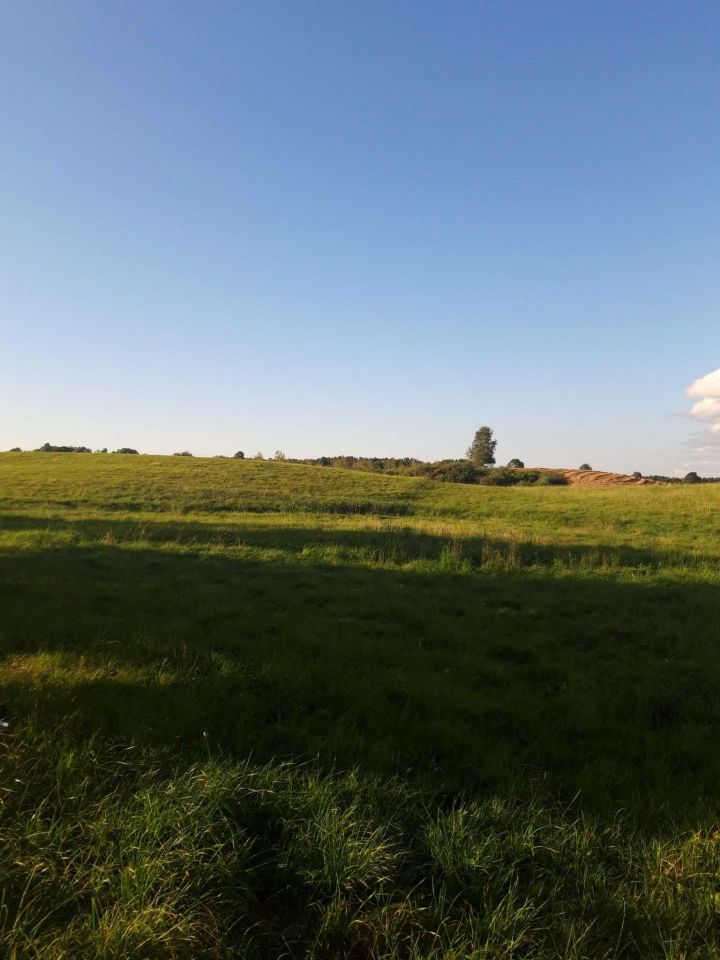 Działka budowlana Liwa. Zdjęcie 3