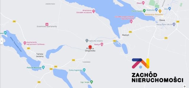 Działka budowlana Kuźnica Głogowska. Zdjęcie 2