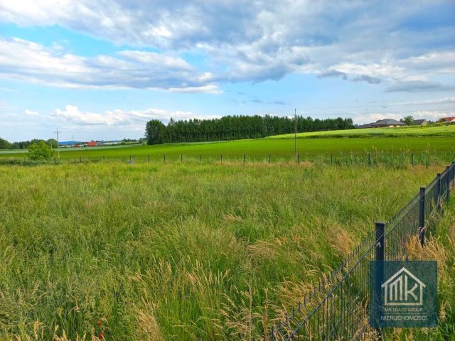Działka budowlana Dąbrowa. Zdjęcie 4