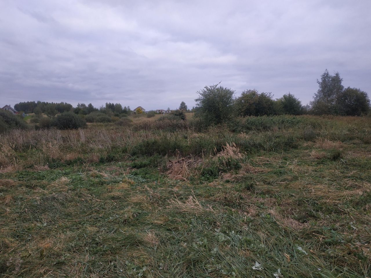 Działka rekreacyjna Kłodowo. Zdjęcie 3