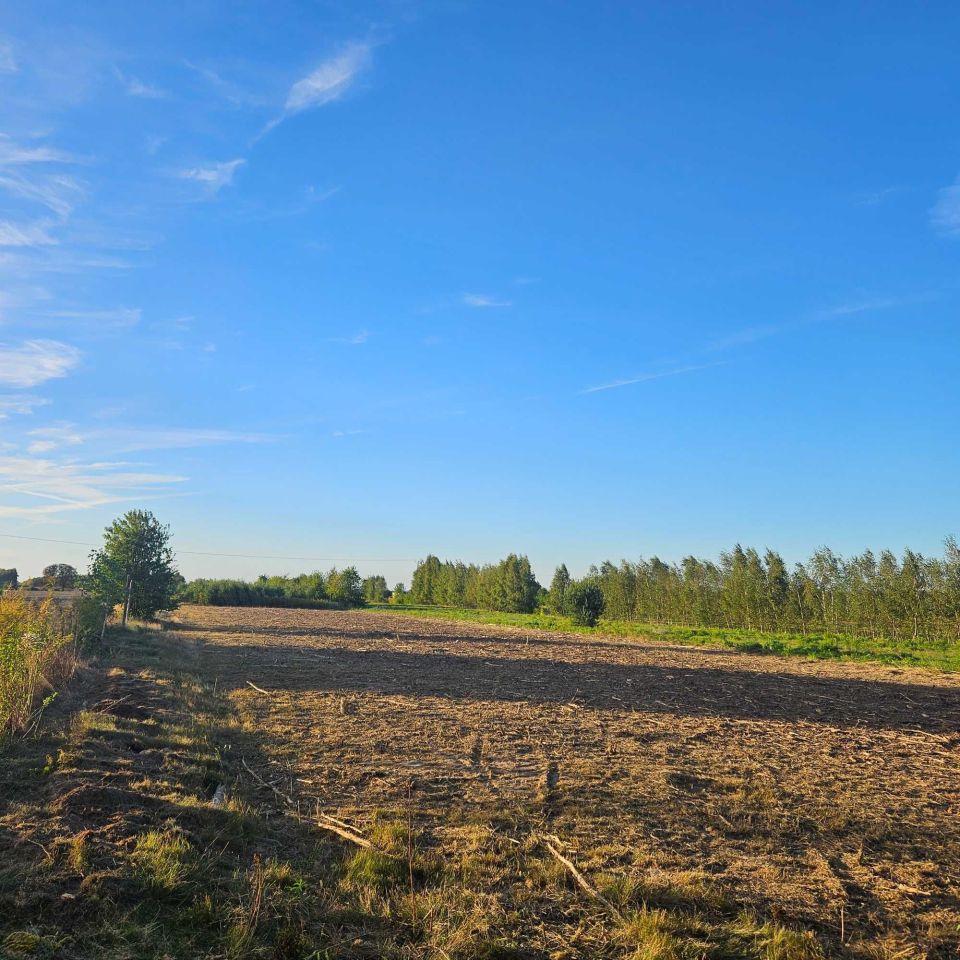 Działka rolno-budowlana Dąbrówka-Marianka