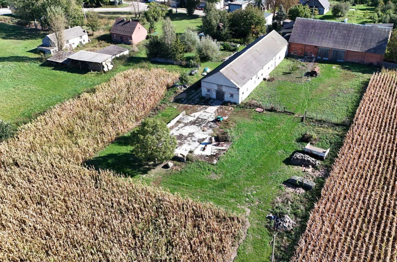 gospodarstwo Łopienno. Zdjęcie 8