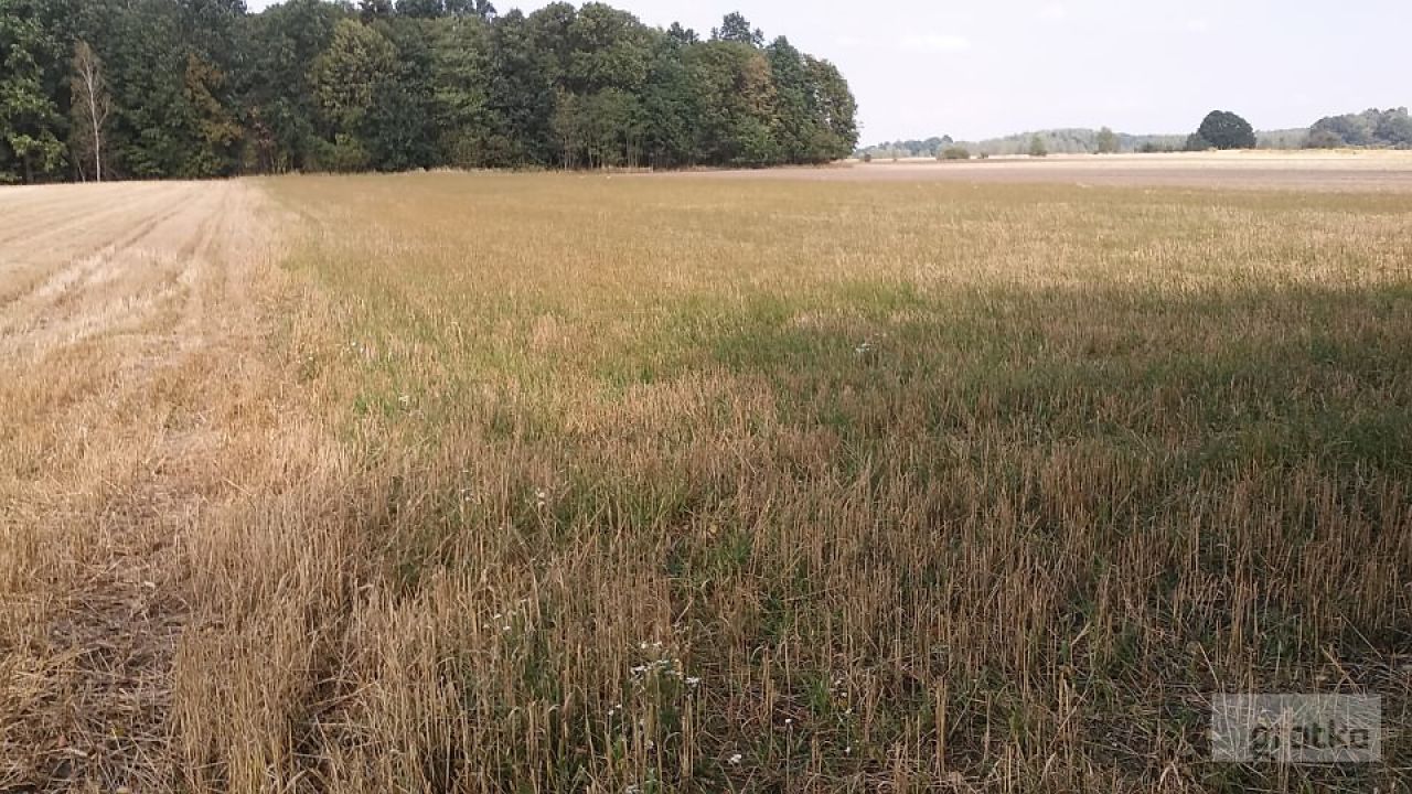 Działka rolna Byków. Zdjęcie 4