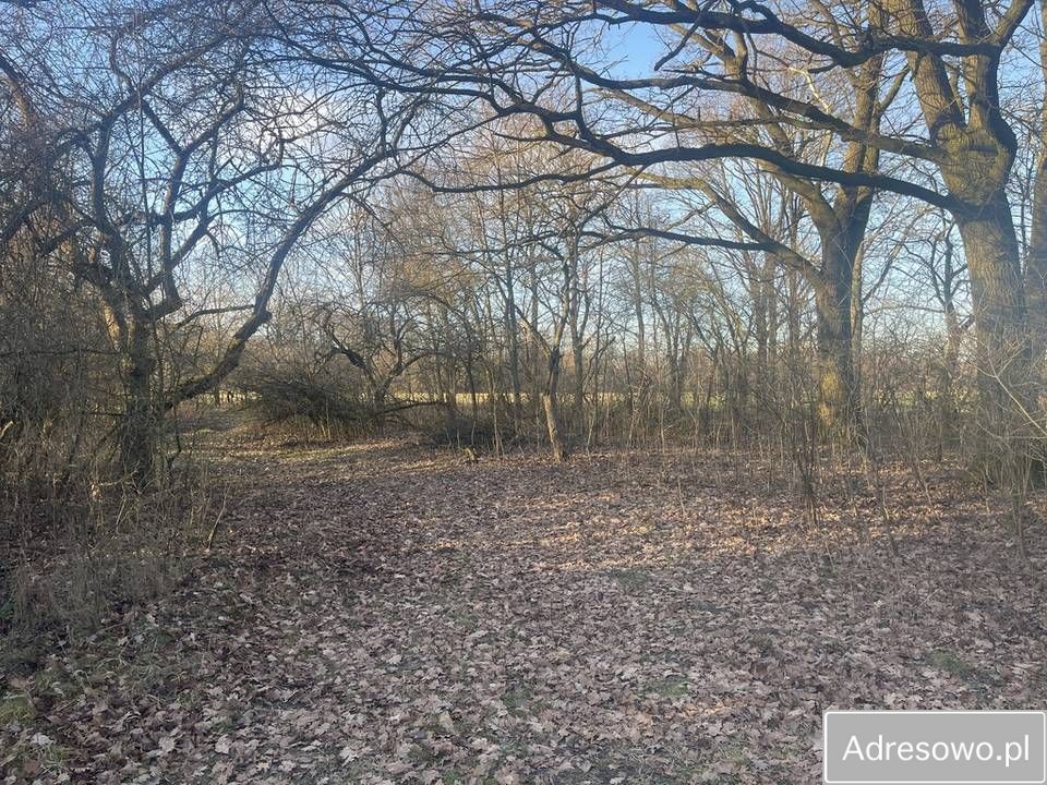 Działka siedliskowa Elżbietów. Zdjęcie 1