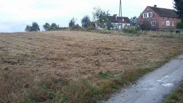Działka rolna Mirostowice Górne. Zdjęcie 1