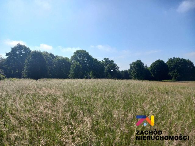 Działka budowlana Książ Śląski. Zdjęcie 1