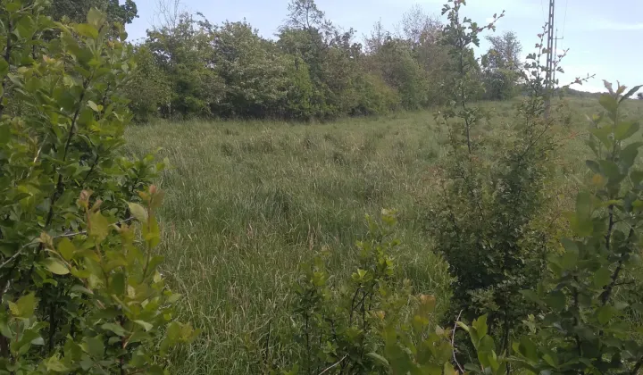 Działka rolno-budowlana Ugoszcz