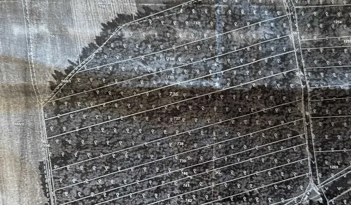 Działka leśna Jatwieź Mała