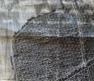 Działka leśna Jatwieź Mała