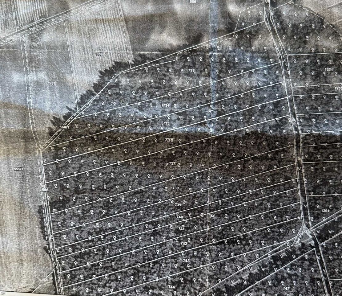 Działka leśna Jatwieź Mała