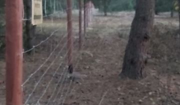 Działka budowlana Klempicz