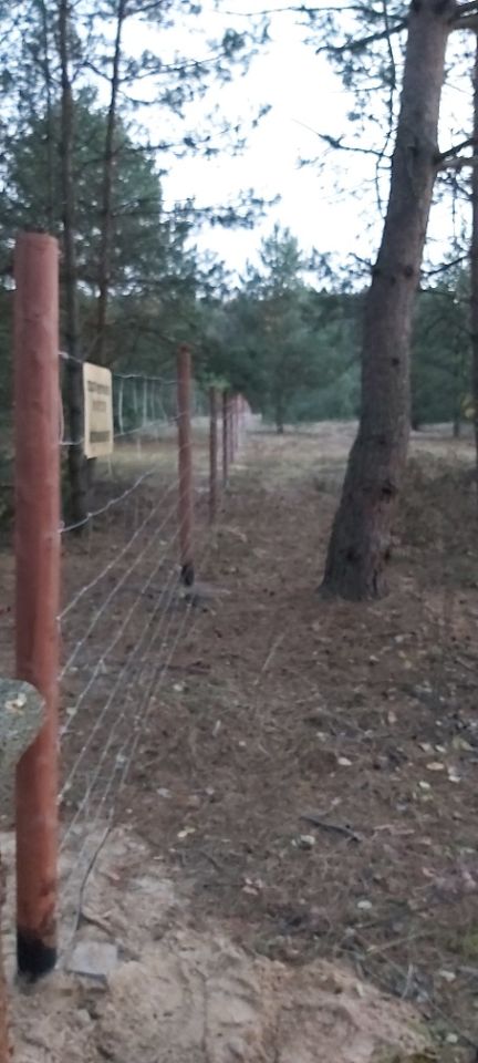 Działka budowlana Klempicz. Zdjęcie 3