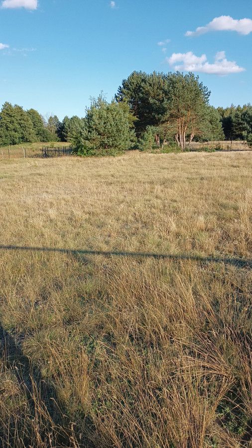 Działka budowlana Dębniaki. Zdjęcie 1