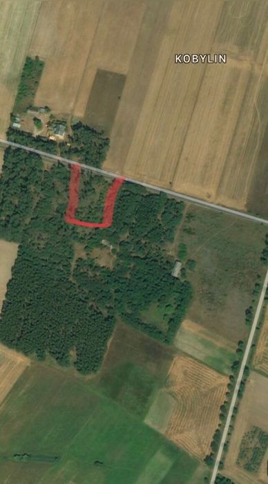 Działka budowlana Kobylin. Zdjęcie 8