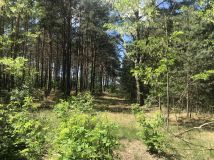 Działka budowlana Anastazew. Zdjęcie 3