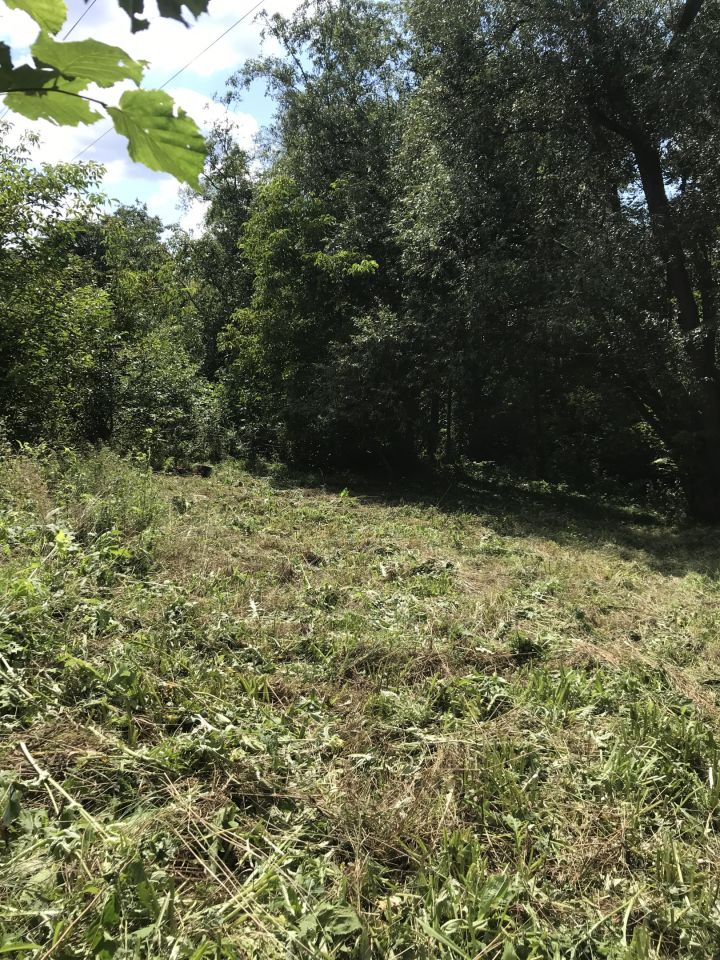 Działka leśna Mogilany, ul. Rzemieślnicza. Zdjęcie 2