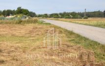 Działka siedliskowa Siedliska