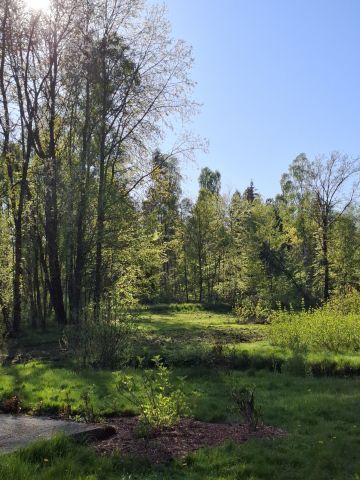 Działka budowlana Skrzeszewo, ul. Leśna. Zdjęcie 1
