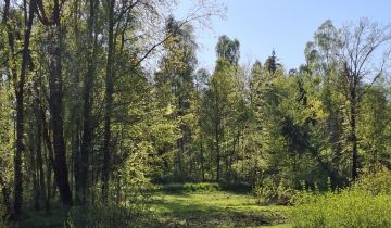 Działka budowlana Skrzeszewo, ul. Leśna