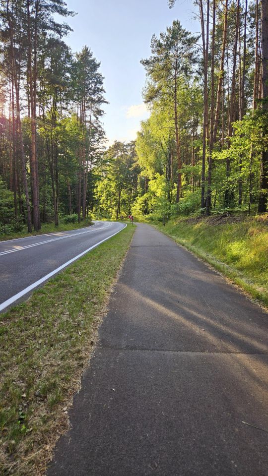 Działka rekreacyjna Dominice, ul. Dębowa. Zdjęcie 4