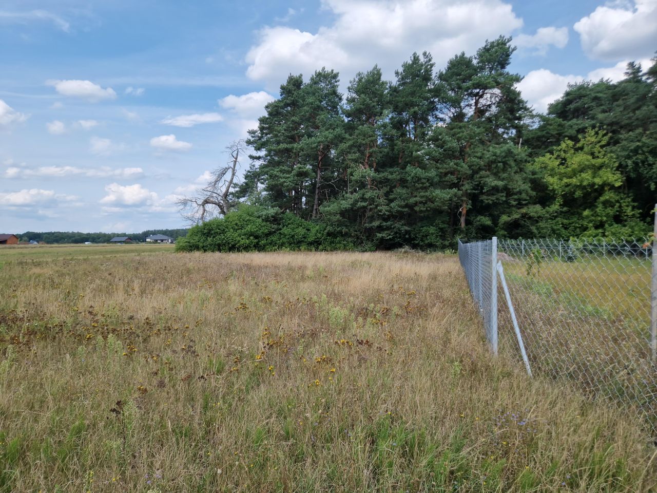 Działka rolna Krajęczyn. Zdjęcie 7