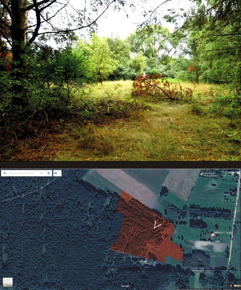Działka leśna Turna Duża. Zdjęcie 25