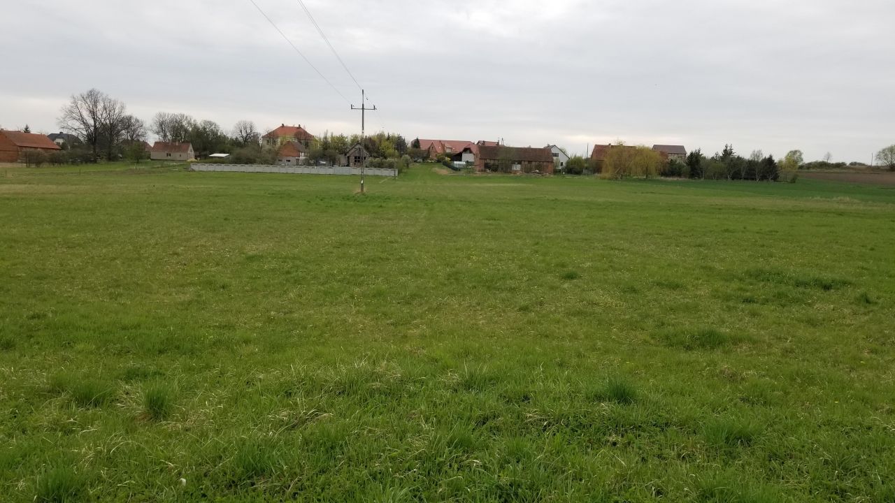 Działka rolna Smogorzów Wielki. Zdjęcie 3