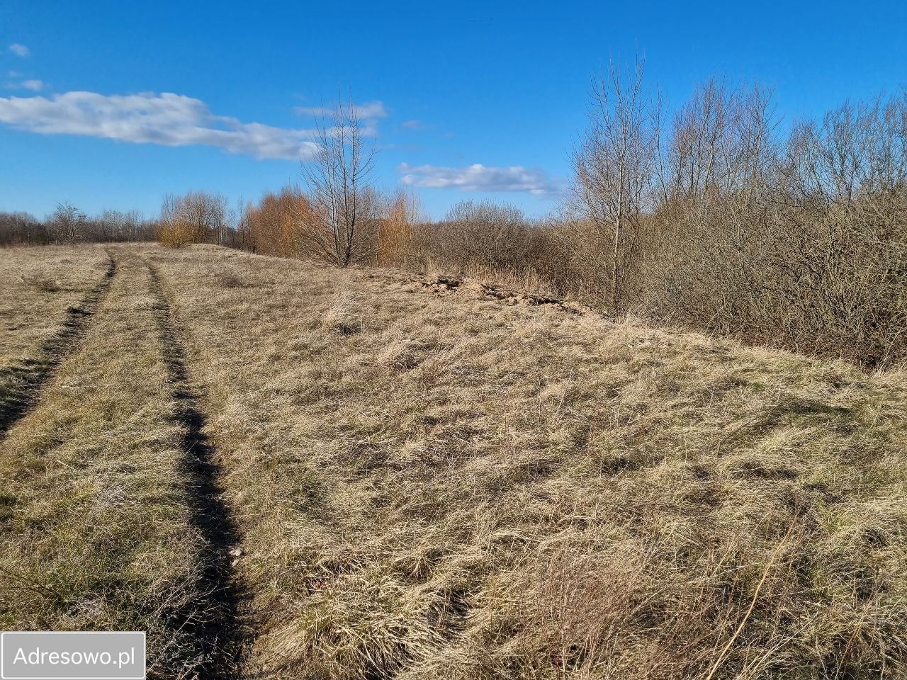 Działka Bilno. Zdjęcie 8