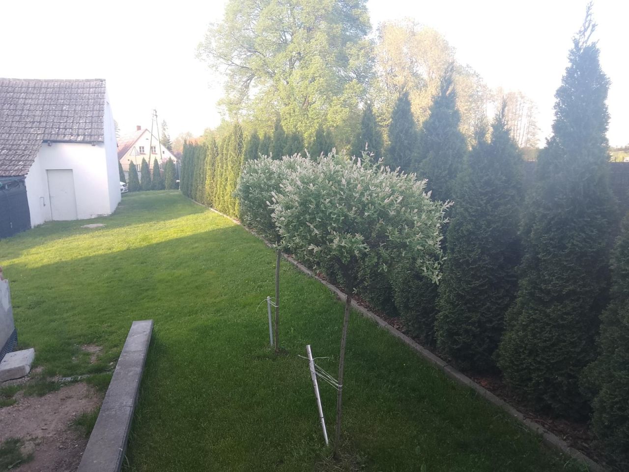 dom wolnostojący, 2 pokoje Krzywina. Zdjęcie 11